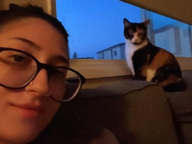 Shared Living/roommate Edmonton AB 98711660