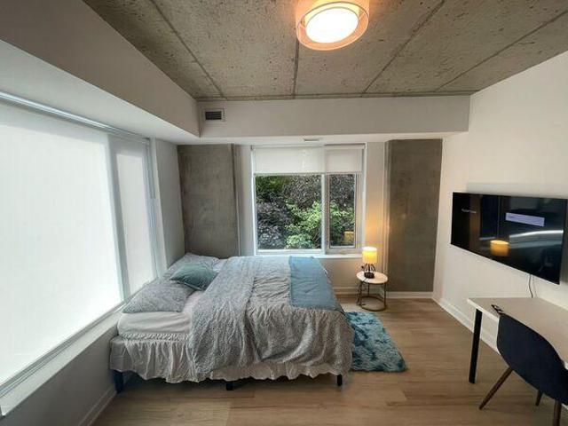Shared Living/roommate Ottawa ON LS99270574