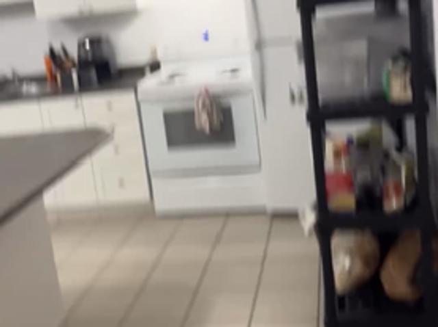 Shared Living/roommate Toronto ON 97349958