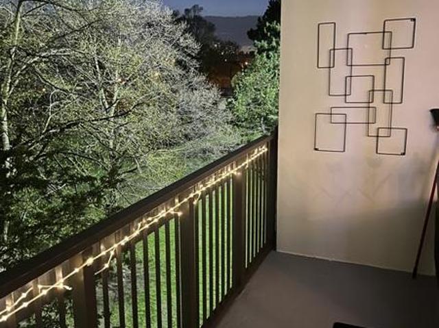 Shared Living/roommate Toronto ON 103487927