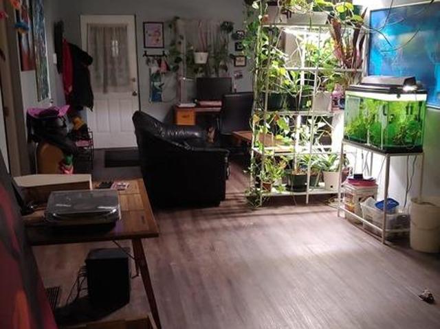 Shared Living/roommate Toronto ON 103243825