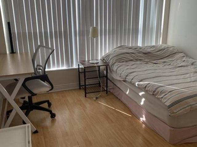 Shared Living/roommate Toronto ON 104434613