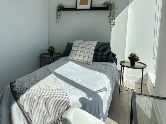Shared Living/roommate Toronto ON 104910525
