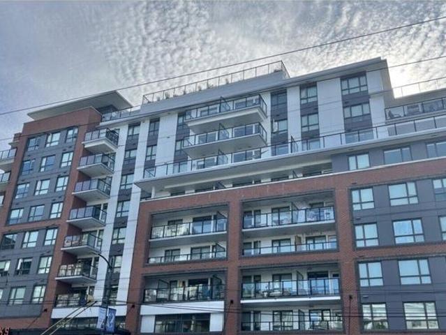 Shared Living/roommate Vancouver BC 100718996