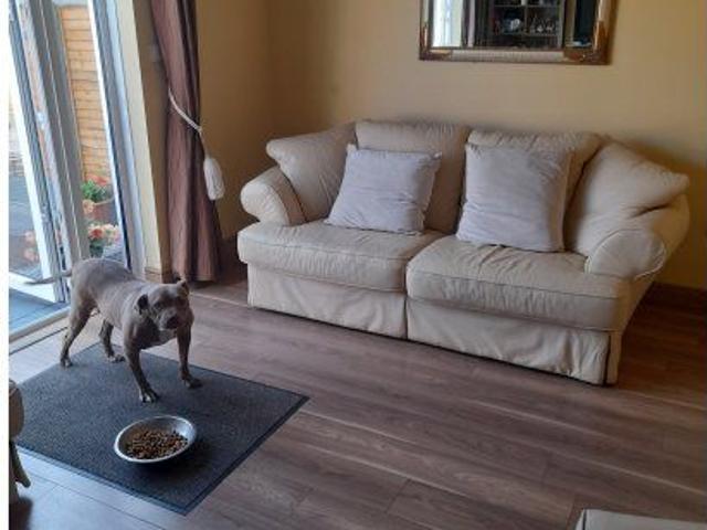Shared room for rent in Dublin, bills included