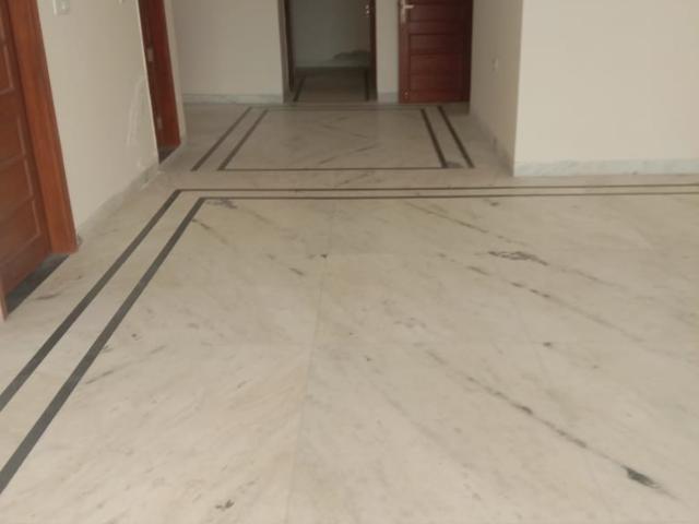 Shree Shyam Properties 1 RK 390 Sq. Ft. Builder Floor in Sector 52 Gurgaon Listing ID: #9874