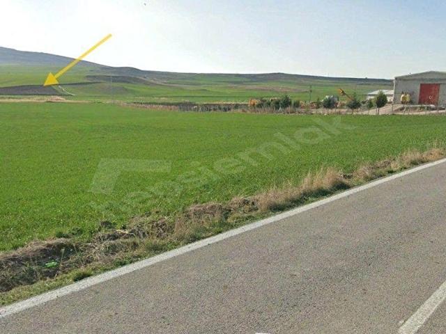 SİVRİ'DE EMSALSİZ KONUMDA TARLA