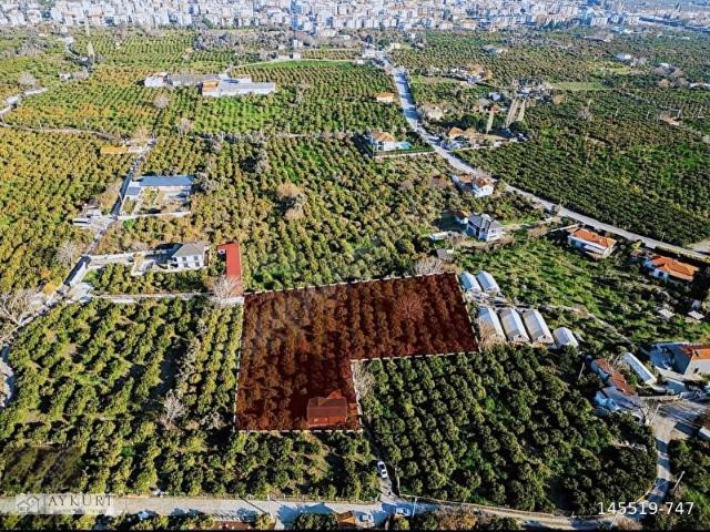 SIĞACIK YOLUN'DA 4.800 m2 SATILIK BAHÇE