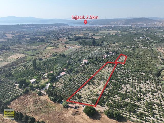SIĞACIK'TA PLAJA 500m TAKASA UYGUN 7345m2 MANDALİNA BAHÇESİ