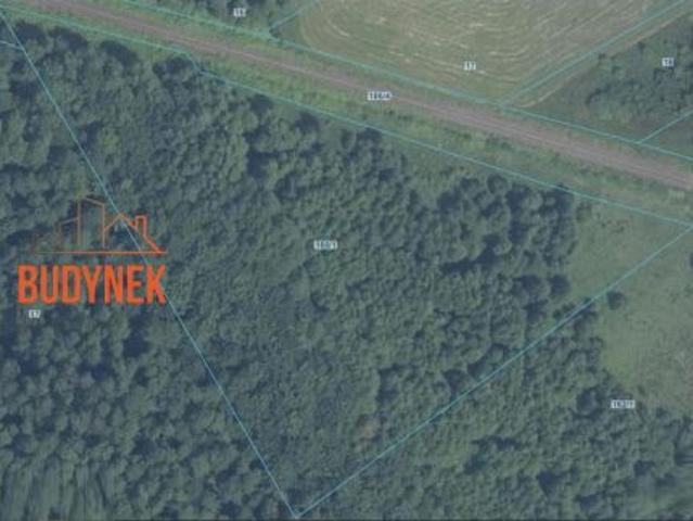 Sińczyca, 14200 m² Działka