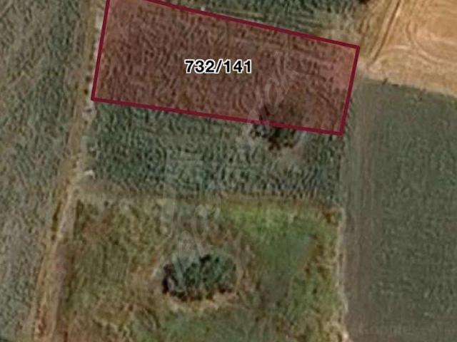 SİLİVRİ BALABAN TEK TAPU TARLA