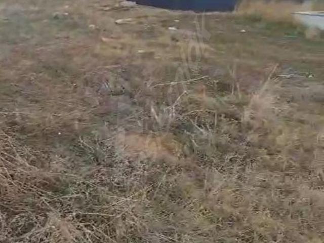 SİLİVRİ BALABANDA SATILIK İMARLI ARSA