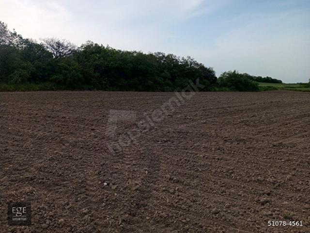 SİLİVRİ BÜYÜKÇAVUŞLU AHMETFAKI MEVKİİ 4600 M2 TARLA