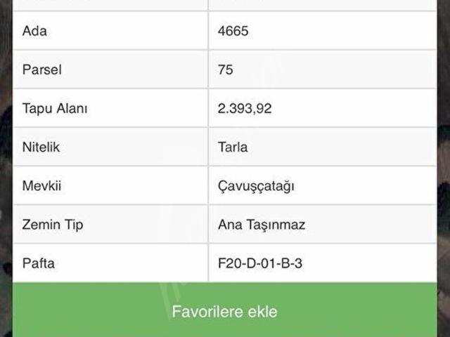 SİLİVRİ BÜYÜK ÇAVUŞLUDA YATIRIMLIK TARLA HİSSESİ