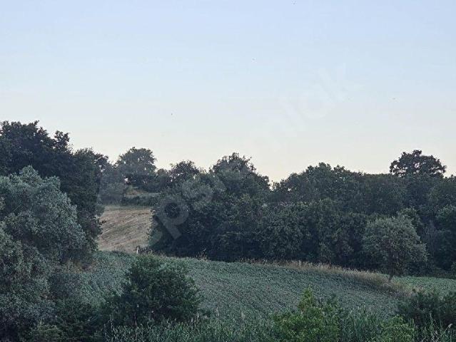 SİLİVRİ BUYUKCAVUSLUDA 2996 M2 TARLA