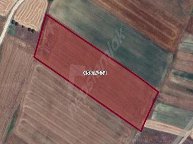 SİLİVRİ BÜYÜKKILIÇLIDA MÜSTAKİL TAPULU 18.275 M2 TARLA