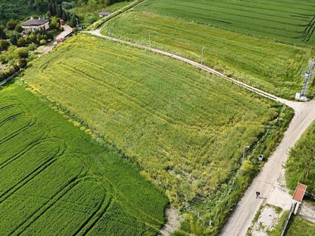 SİLİVRİ FENERKÖY DE SATILIK 7.000 M2 ARAZİ TEK TAPU
