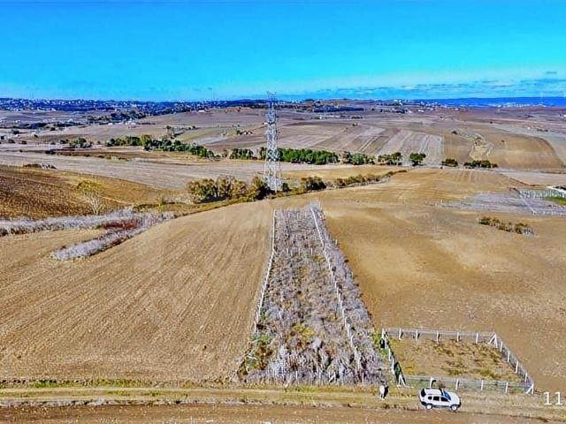 SİLİVRİ KADIKÖY MAHALLESİNDE TEL ÖRGÜLÜ 1.108 M2 SATILIK TARLA