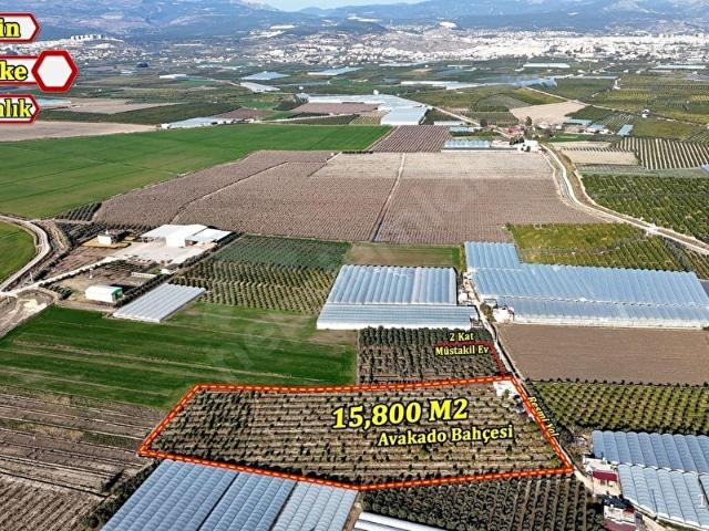 SİLİFKE KURTULUŞ 2 KATLI MÜSTAKİL EV VE 15800M2 AVUKADO BAHÇESİ