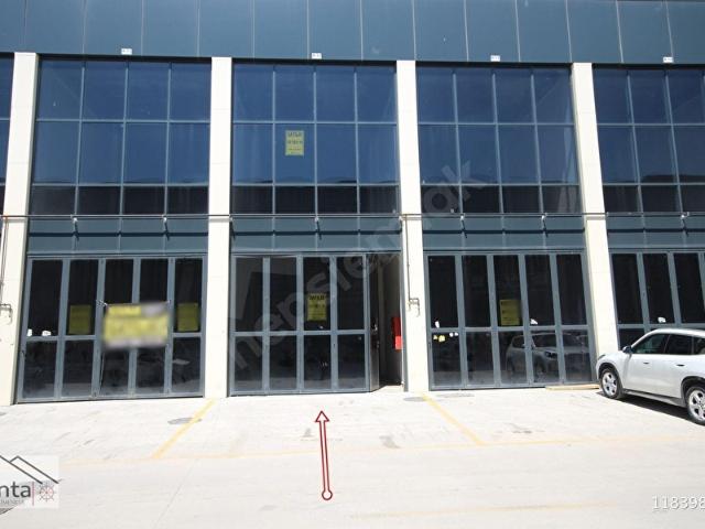 SİNCAN SEHAŞ ARENA' DASIFIRABONELİKLER HAZIRSATILIK DÜKKAN