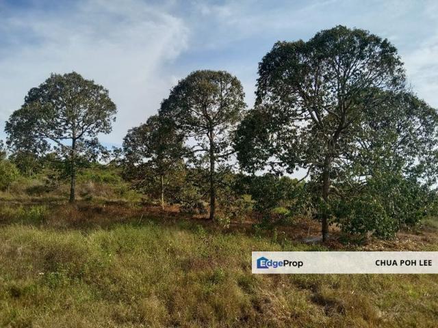 Simpang Pertang