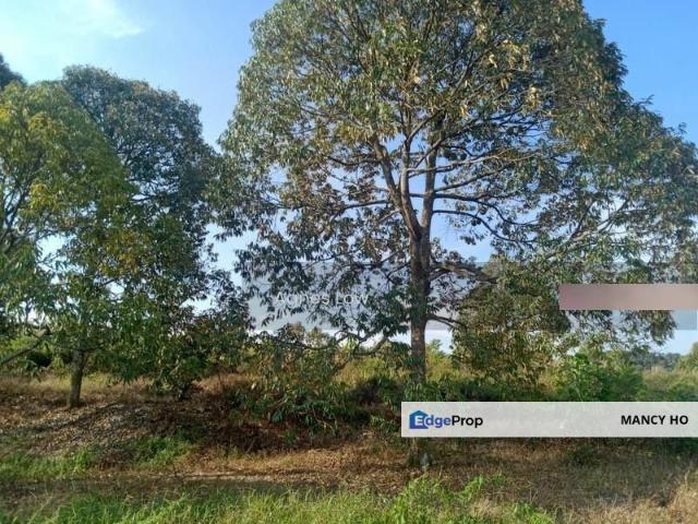 Simpang Pertang