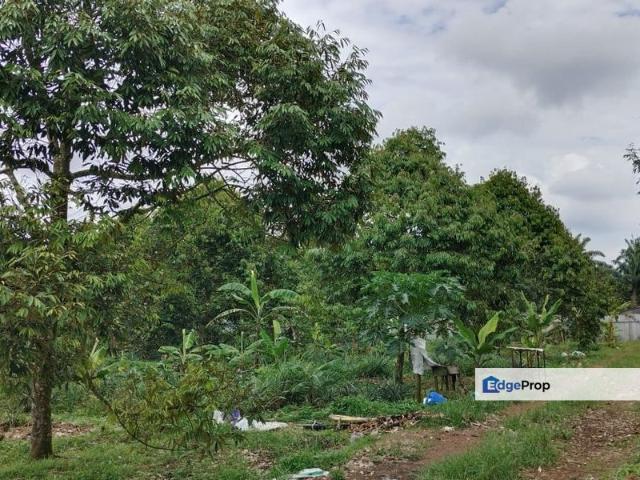 Simpang Renggam
