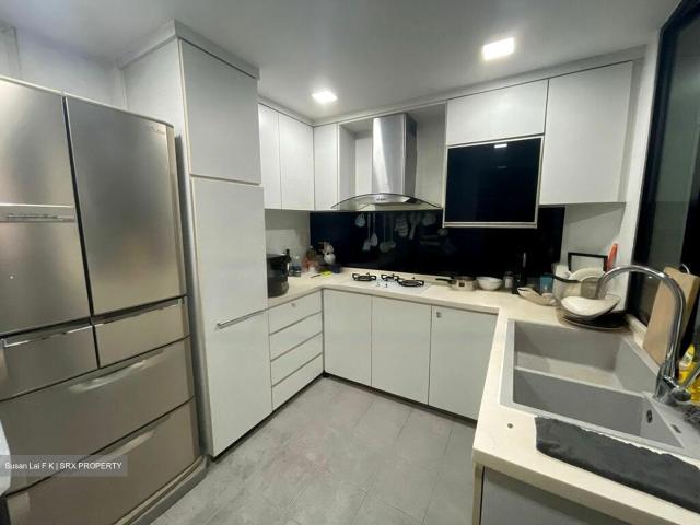 Simsville D14, Condominium