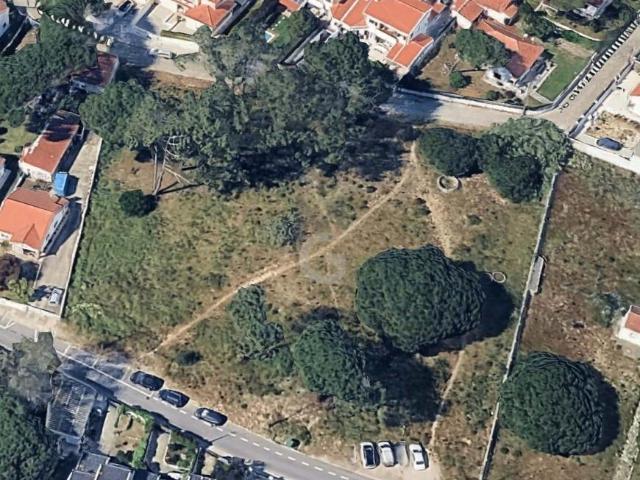 Sintra Lisboa LS95981897