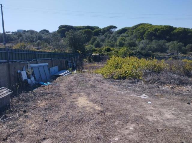Sintra Lisboa LS97254905