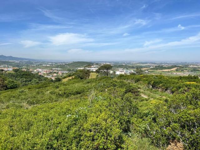 Sintra Lisboa 102208274