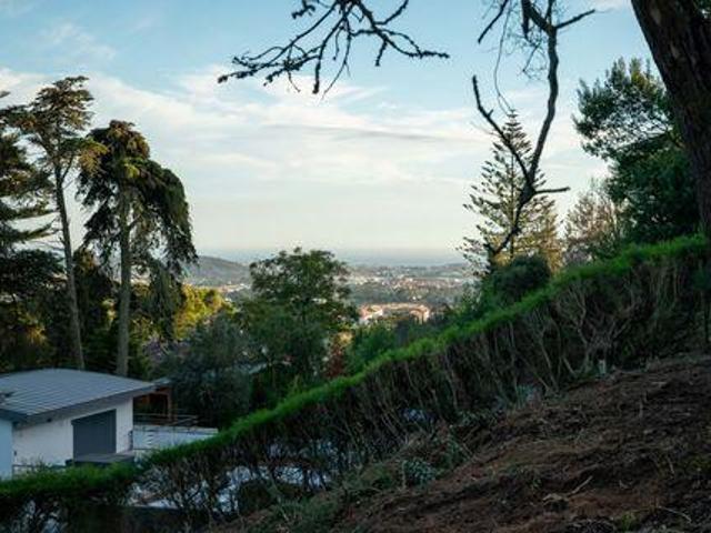 Sintra Lisboa 96042313