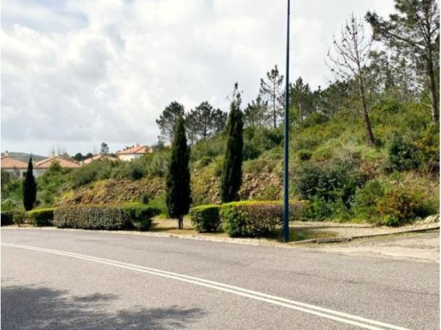Sintra Sintra LS88954399