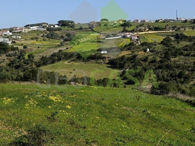 Sintra Sintra LS90744740