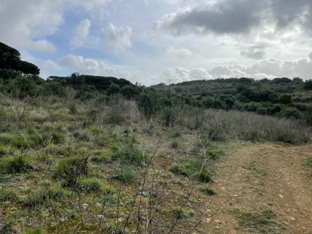 Sintra Sintra LS97117690