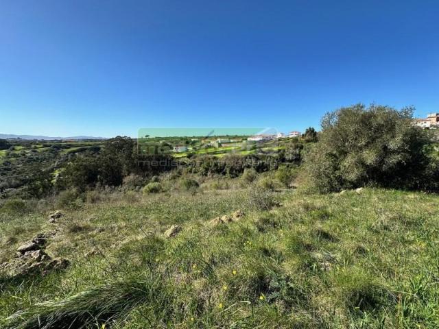 Sintra Sintra LS98757461