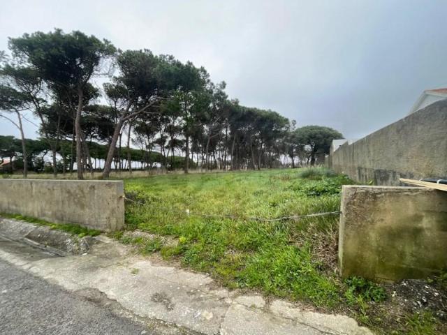 Sintra Sintra LS99288462