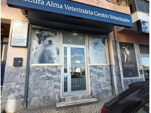 Sintra Sintra 100257713