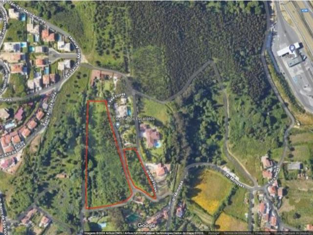 Sintra Sintra 101464262