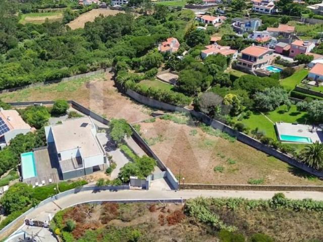 Sintra Sintra 101498631