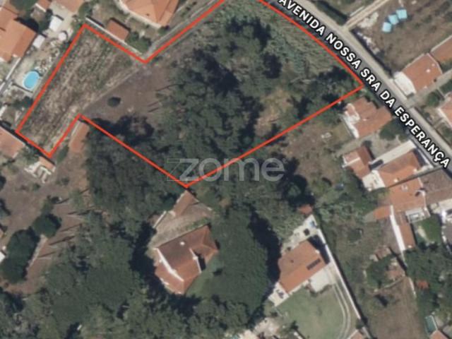 Sintra Sintra 101609641