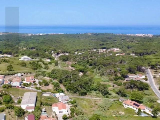 Sintra Sintra 102921702