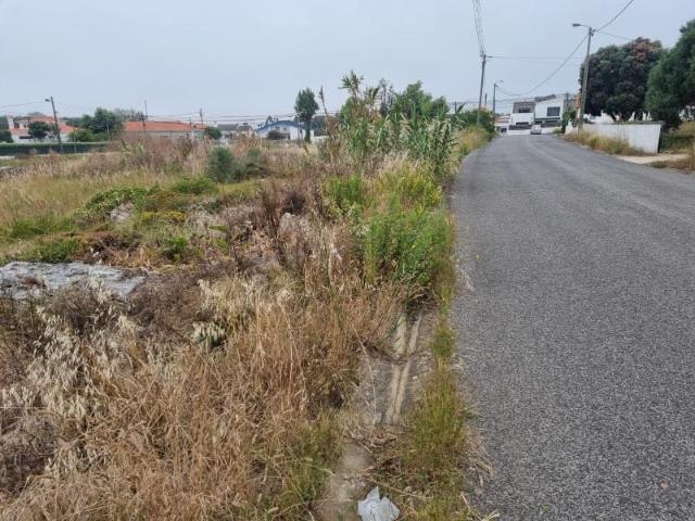 Sintra Sintra 103446860