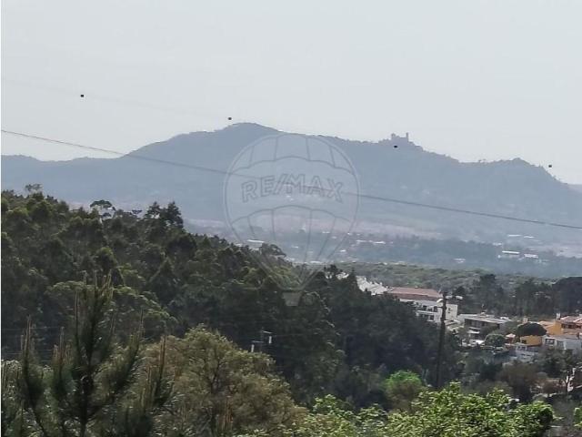 Sintra Sintra 104237949