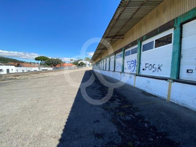Sintra Sintra 2605 121 97086379
