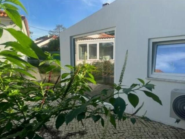 Sintra Sintra 2705 145 LS102579710