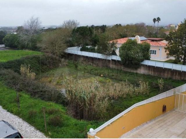 Sintra Sintra 98397907