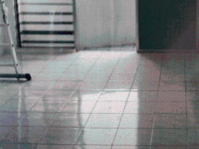Sinar Bukit Dumbar jelutong