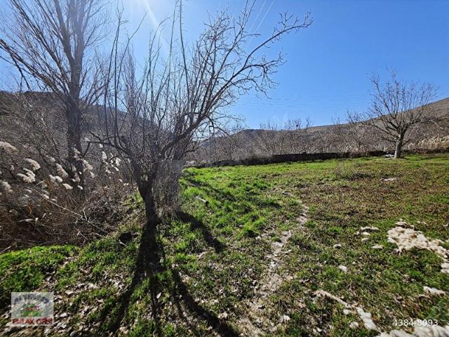 Sincan Yenikent Zir Vadisinde 2118 Metre Tek Tapu Sulu Tarla