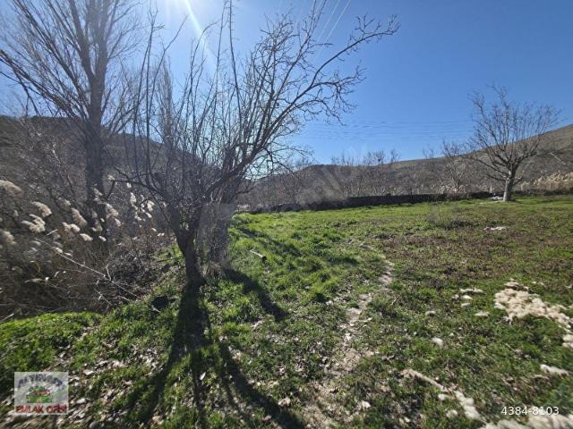 Sincan Yenikent Zir Vadisinde 2161 Metre Ruhsatlı Ahır ve Evi